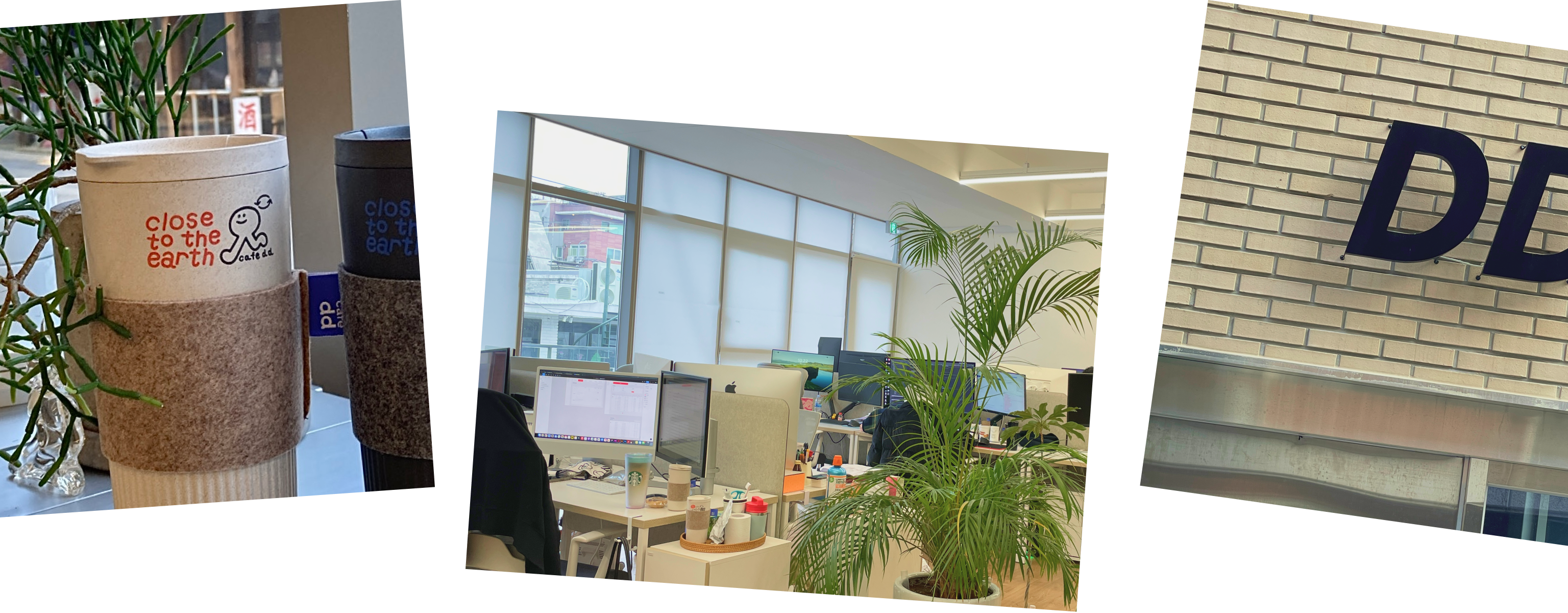 DD Factory 회사 사진